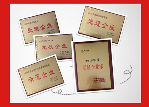 榮譽證書